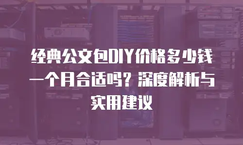 经典公文包DIY价格多少钱一个月合适吗？深度解析与实用建议