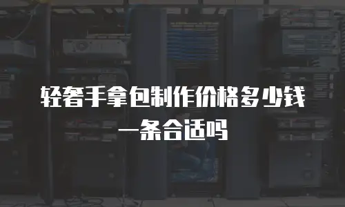 轻奢手拿包制作价格多少钱一条合适吗