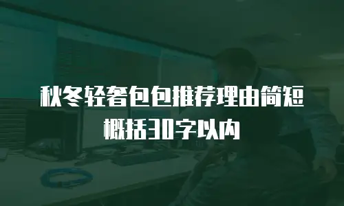 秋冬轻奢包包推荐理由简短概括30字以内
