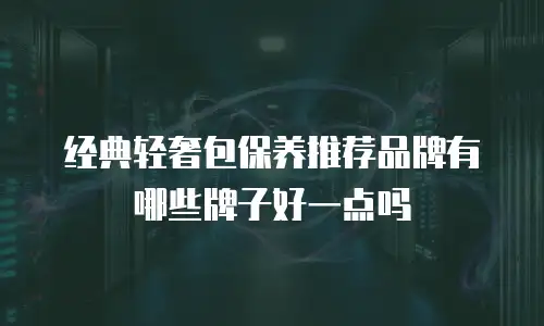 经典轻奢包保养推荐品牌有哪些牌子好一点吗