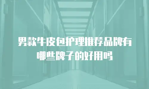 男款牛皮包护理推荐品牌有哪些牌子的好用吗