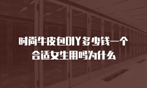 时尚牛皮包DIY多少钱一个合适女生用吗为什么