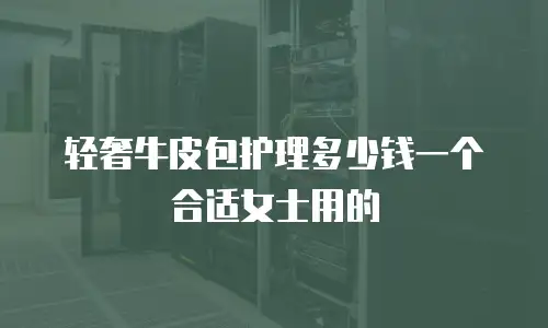 轻奢牛皮包护理多少钱一个合适女士用的