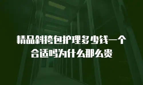 精品斜挎包护理多少钱一个合适吗为什么那么贵