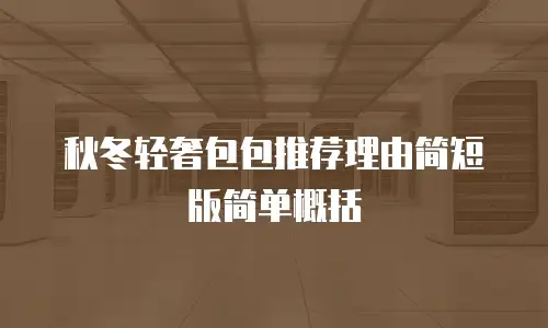 秋冬轻奢包包推荐理由简短版简单概括