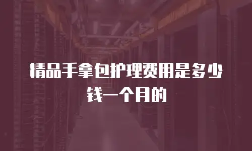 精品手拿包护理费用是多少钱一个月的