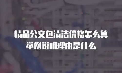 精品公文包清洁价格怎么算举例说明理由是什么