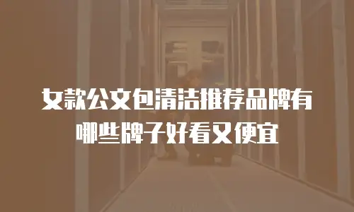 女款公文包清洁推荐品牌有哪些牌子好看又便宜