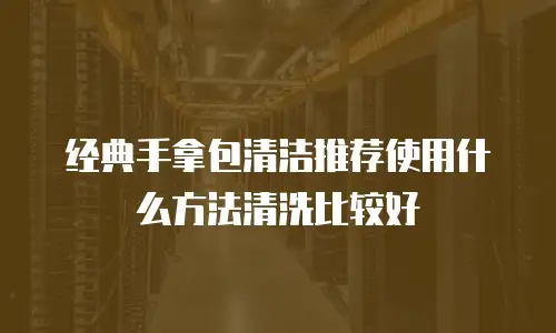 经典手拿包清洁推荐使用什么方法清洗比较好