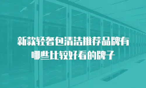 新款轻奢包清洁推荐品牌有哪些比较好看的牌子