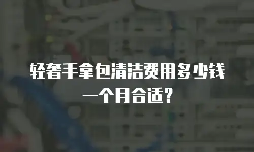 轻奢手拿包清洁费用多少钱一个月合适？