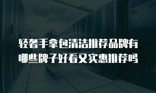 轻奢手拿包清洁推荐品牌有哪些牌子好看又实惠推荐吗