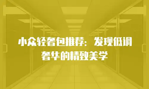 小众轻奢包推荐：发现低调奢华的精致美学