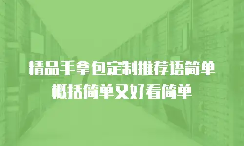 精品手拿包定制推荐语简单概括简单又好看简单
