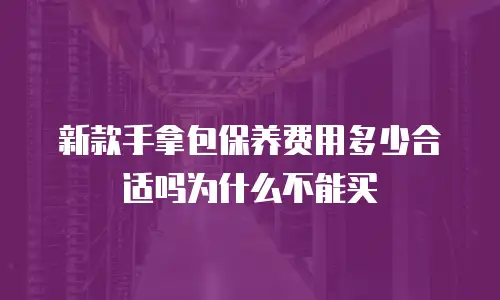 新款手拿包保养费用多少合适吗为什么不能买