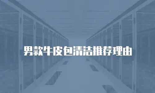 男款牛皮包清洁推荐理由