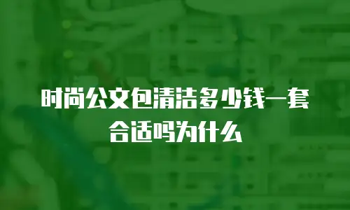 时尚公文包清洁多少钱一套合适吗为什么