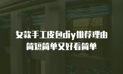 女款手工皮包diy推荐理由简短简单又好看简单