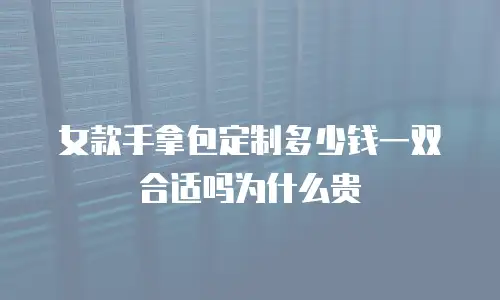女款手拿包定制多少钱一双合适吗为什么贵