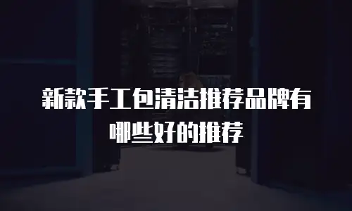 新款手工包清洁推荐品牌有哪些好的推荐