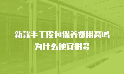 新款手工皮包保养费用高吗为什么便宜很多