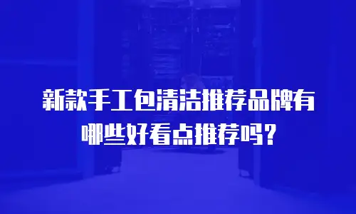 新款手工包清洁推荐品牌有哪些好看点推荐吗？
