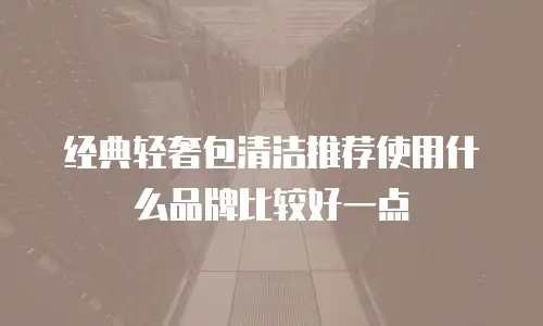 经典轻奢包清洁推荐使用什么品牌比较好一点