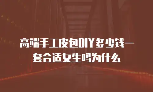 高端手工皮包DIY多少钱一套合适女生吗为什么