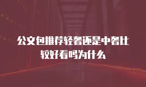 公文包推荐轻奢还是中奢比较好看吗为什么