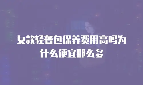 女款轻奢包保养费用高吗为什么便宜那么多
