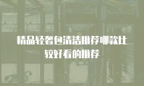 精品轻奢包清洁推荐哪款比较好看的推荐