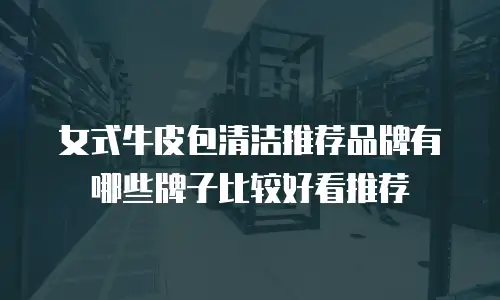 女式牛皮包清洁推荐品牌有哪些牌子比较好看推荐
