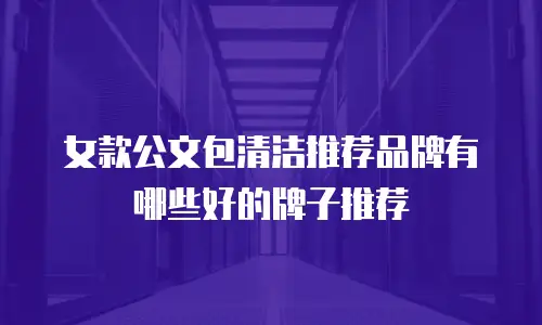 女款公文包清洁推荐品牌有哪些好的牌子推荐