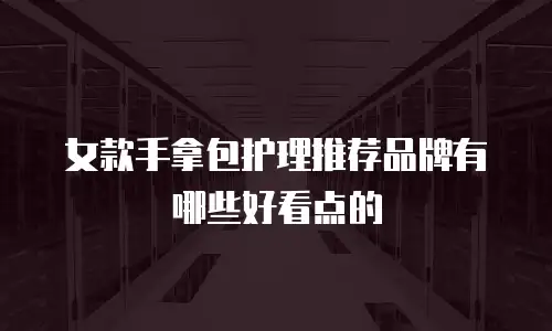 女款手拿包护理推荐品牌有哪些好看点的