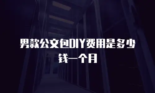 男款公文包DIY费用是多少钱一个月