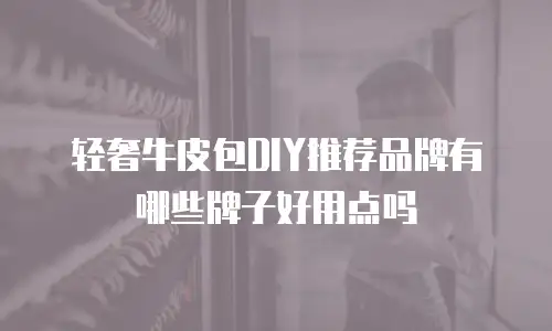 轻奢牛皮包DIY推荐品牌有哪些牌子好用点吗