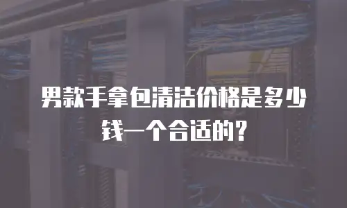 男款手拿包清洁价格是多少钱一个合适的？