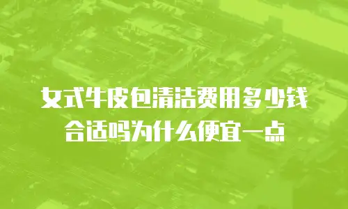 女式牛皮包清洁费用多少钱合适吗为什么便宜一点
