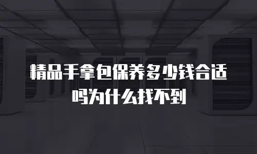 精品手拿包保养多少钱合适吗为什么找不到