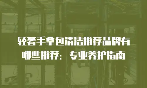 轻奢手拿包清洁推荐品牌有哪些推荐：专业养护指南