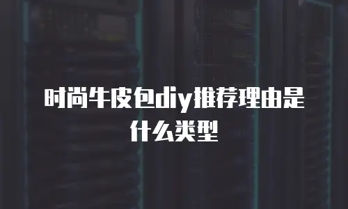 时尚牛皮包diy推荐理由是什么类型