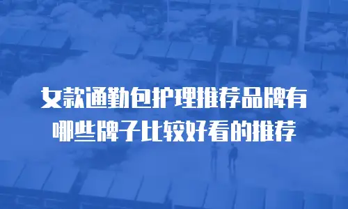 女款通勤包护理推荐品牌有哪些牌子比较好看的推荐