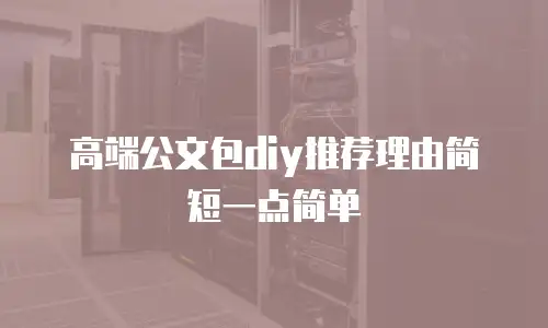 高端公文包diy推荐理由简短一点简单