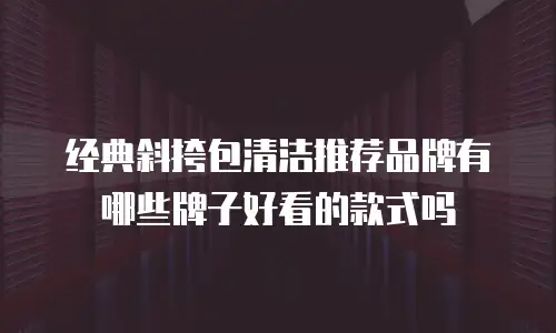 经典斜挎包清洁推荐品牌有哪些牌子好看的款式吗