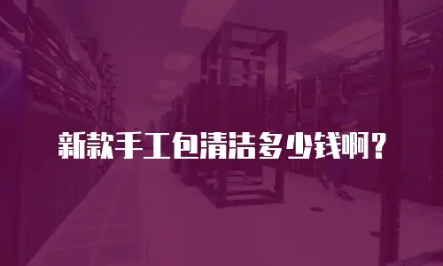 新款手工包清洁多少钱啊？
