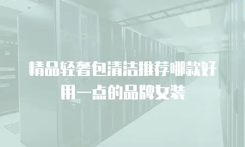精品轻奢包清洁推荐哪款好用一点的品牌女装