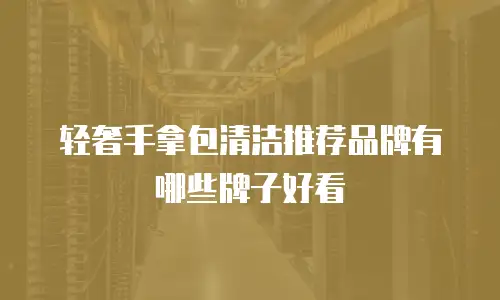 轻奢手拿包清洁推荐品牌有哪些牌子好看
