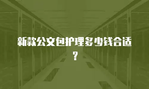 新款公文包护理多少钱合适？