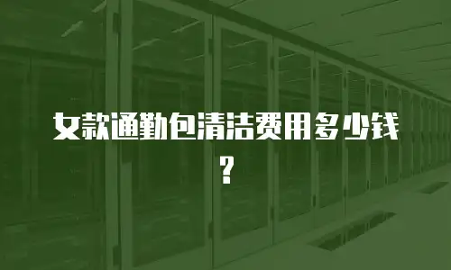女款通勤包清洁费用多少钱?