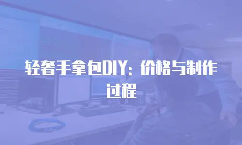 轻奢手拿包DIY: 价格与制作过程